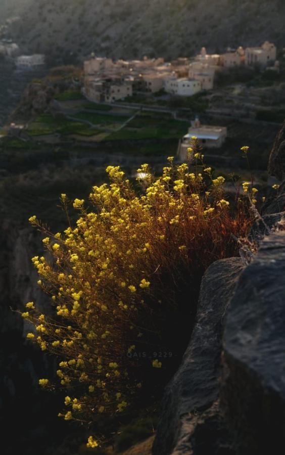 Jabal al Akhdhar Roses House Omanヴィラ エクステリア 写真