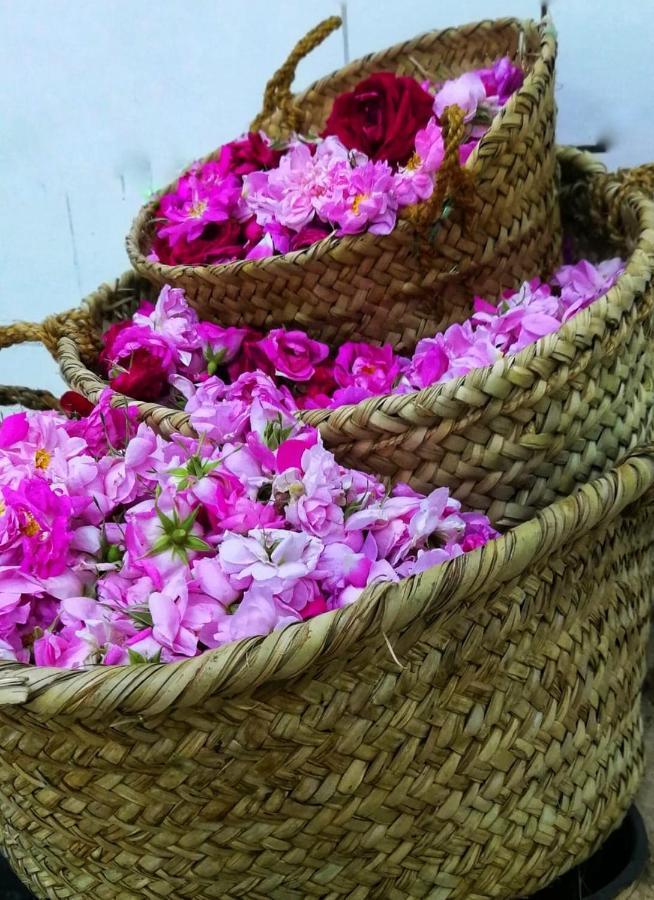 Jabal al Akhdhar Roses House Omanヴィラ エクステリア 写真