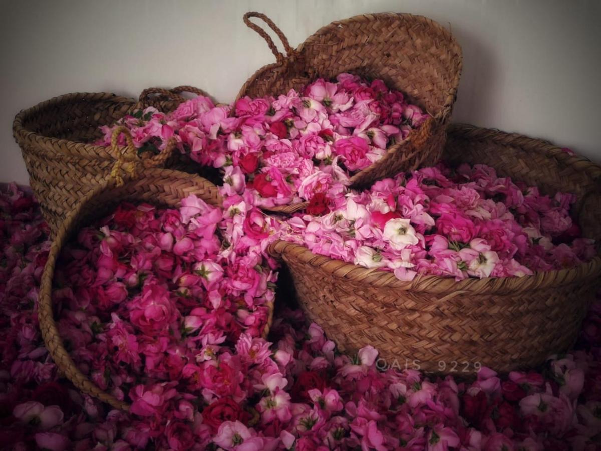 Jabal al Akhdhar Roses House Omanヴィラ エクステリア 写真