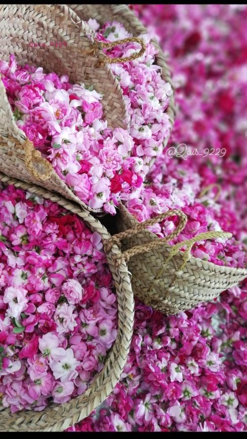 Jabal al Akhdhar Roses House Omanヴィラ エクステリア 写真